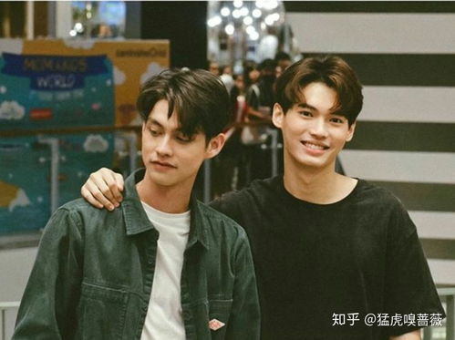 泰剧租来的男友，总裁男友剧情简介--第1张