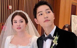 离婚后大明星老婆后悔了剧情简介--第1张