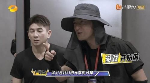 真假千金联手了，真假千金摊牌了我的三个哥哥是顶级大佬短剧全集剧情介绍--第1张
