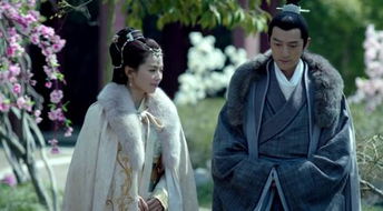 神医佳婿全集剧情介绍视频，神医佳婿短剧剧情介绍--第1张