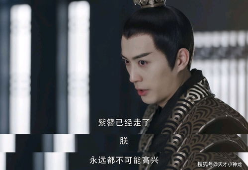 唐总夫人插翅难逃短剧全集剧情介绍--第1张