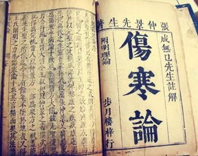 宫廷医圣，宫廷医书秘闻--第1张