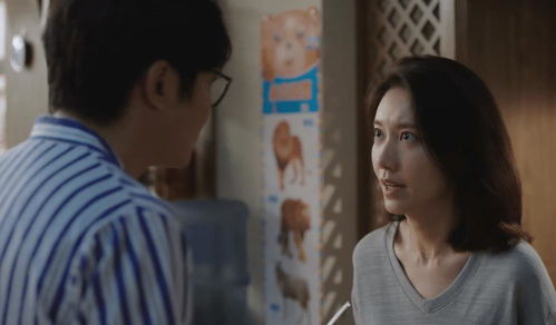 重生之后发现高冷 重生后高冷妻子跪地忏悔短剧全集剧情信息--第1张