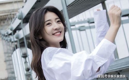 离婚后三个大佬狂追我免费阅读 离婚后三个绝美姐姐找上门--第1张