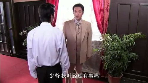 再婚前妻全集剧情信息，再婚前任死对头--第1张