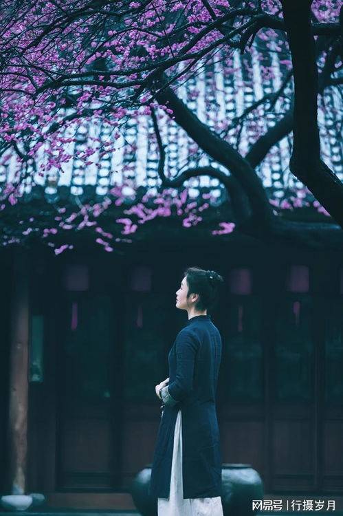 旧梦重逢，冷伤情短剧全集剧情信息--第1张