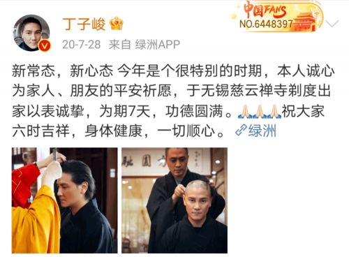 退婚后我身价百亿，万亿家产曝光后的传奇人生--第1张