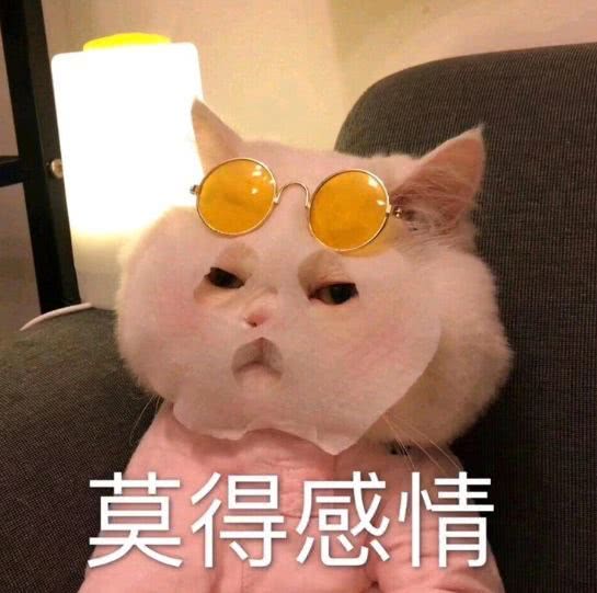 糟糕的表情包被发现了吗？男团宠溺短剧全集剧情信息--第1张