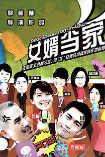 狂枭傻婿，神秘短剧全集剧情信息--第1张