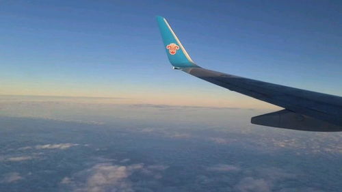飞上蓝天空奇幻奇遇记全集剧情信息及演员表--第1张
