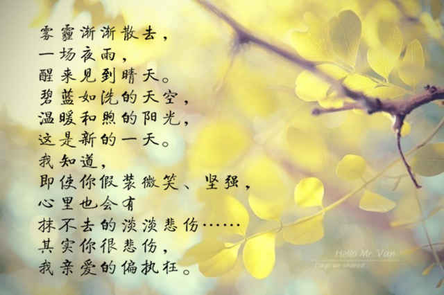世界，温柔以待--第1张