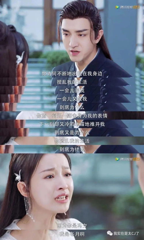 失忆后季总追妻火葬场短剧全集剧情信息资讯 失忆之后重新追妻子电影--第1张