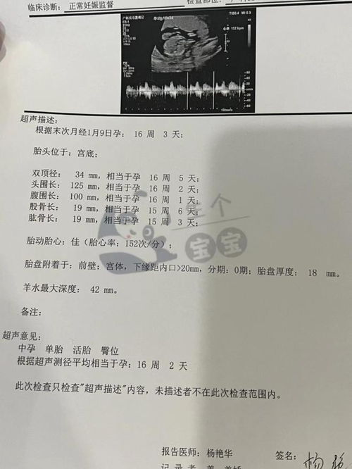 离婚后她转身收到六胎孕检单，好运连连！--第1张