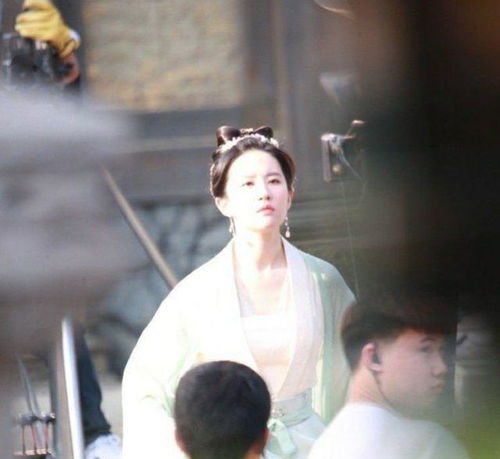  侠女不做少奶奶，穿越剧短剧全集剧情信息资讯--第1张