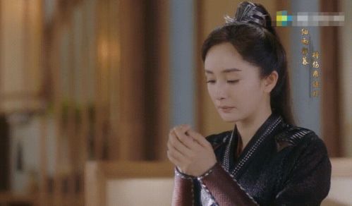 霍先生替身夫人神秘身份揭秘--第1张