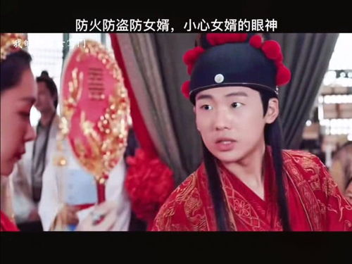 我的野蛮女将军短剧全集剧情信息资讯 我的野蛮女掌门剧情介绍电视猫--第1张