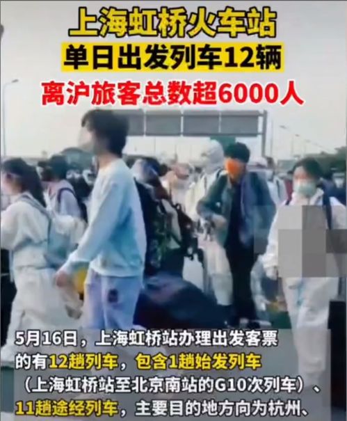 新版逆袭打工人短剧全集剧情，打工者逆袭--第1张