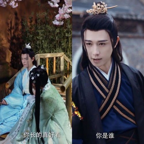 权宠医妃短剧全集剧情信息资讯 权宠医妃番外篇--第1张