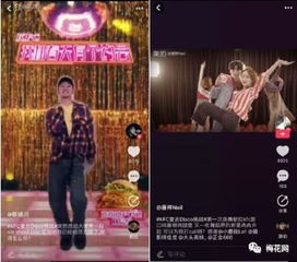 花都狂龙聂阳百科 花都狂龙短剧全集剧情信息资讯--第1张