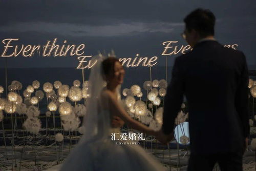 风起时遇见你剧情简介--第1张
