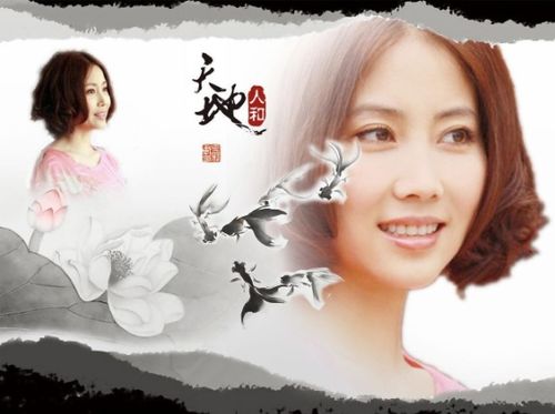 娇妻归来，总裁穷追不舍 短剧全集剧情信息资讯--第1张