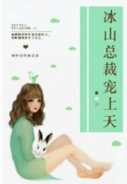 冰山总裁宠妻如命免费阅读全集剧情介绍--第1张