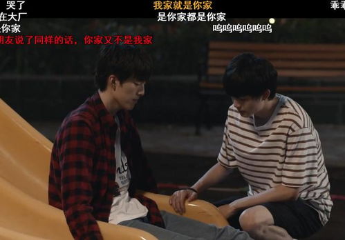 饶了她吧洛少的替身情人短剧全集剧情简介--第1张