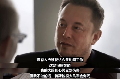 破产后我成了世界首富短剧全集剧情信息大全 破产后我成了首富家的团宠 完结 免费下载--第1张