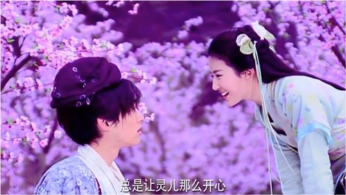 仙之巅，仙途奇遇记的精彩瞬间--第1张