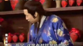 乘龙医妃免费阅读，乘龙医婿短剧全集剧情解析--第1张