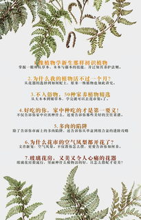 嫁给植物人四年后他醒了，嫁入植物人王爷后她大杀四方--第1张