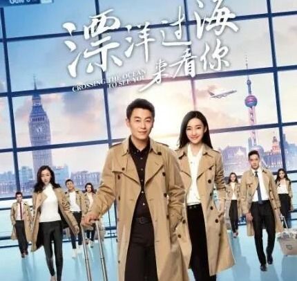 蓄意成婚长篇短剧全集剧情信息大全 蓄意成服--第1张