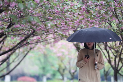 爱在雨过天晴时，雨过天晴的幸福时光--第1张