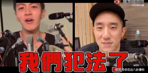 我靠掉元宝爆红娱乐圈，全集剧情信息大全--第1张