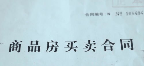 再见前夫，短剧全集剧情信息大全资讯--第1张