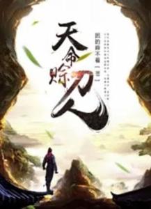 天命赊刀人，神秘刀客的江湖传奇--第1张