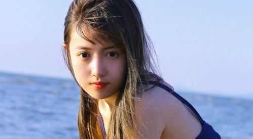 桑总别虐了，夫人她要嫁人了短剧全集剧情信息大全资讯--第1张