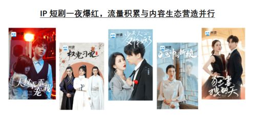 小屋小说 小屋醉暖风短剧全集剧情信息大全资讯--第1张