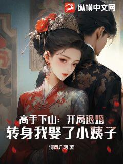 下山和九个未婚妻退婚 短剧全集剧情信息大全高手下山退婚九个未婚妻短剧剧情解析--第1张