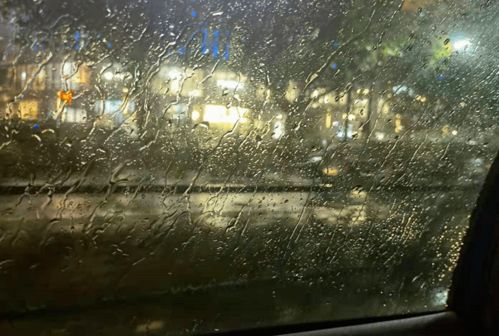 你是长夜也是灯火剧情简介--第1张