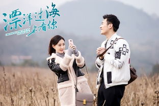 安公主是什么电视剧 安公公怀孕了短剧全集剧情信息大全资讯--第1张