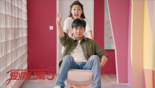 小宝寻妻记，一幕幕感人至深的寻妻之旅--第1张