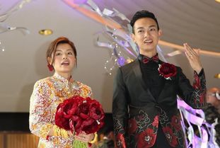 裴总娶了200 裴总夫人说她不需要两个老公，热播短剧剧情--第1张