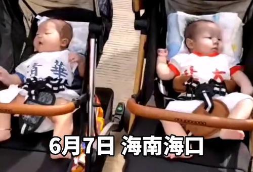 五年后大佬妈咪携宝飒翻全豪门热播短剧剧情 --第1张