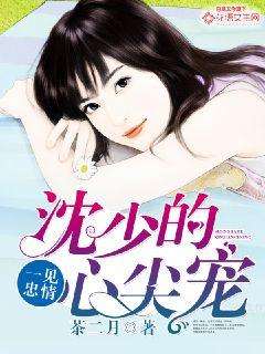夜少的心尖宝贝，总裁宠婚上瘾--第1张