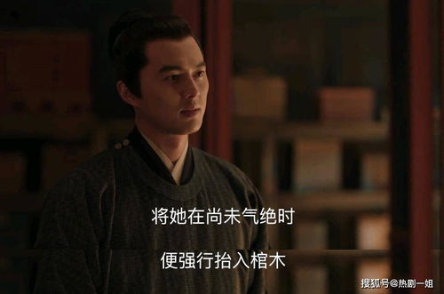 皇子入赘，奇幻剧情的奇妙之旅--第1张