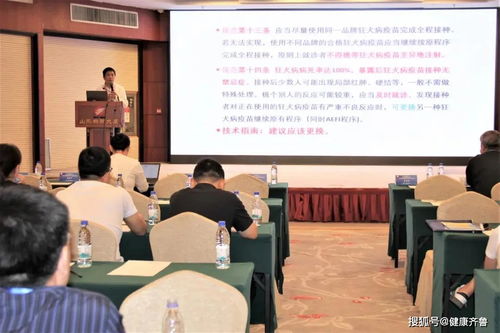 蛰伏五年下山即超神，短剧全集剧情引爆全网热议--第1张