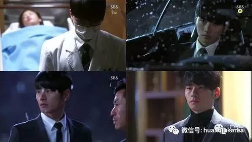 殿下的第一保镖全集剧情介绍--第1张