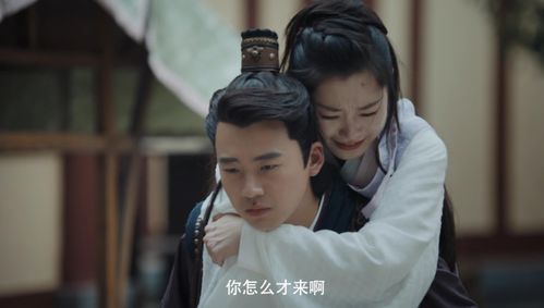 陆少夫人又酷又甜，前妻，偏宠我！--第1张