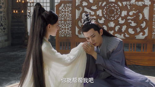 再次见到你百度百科剧情简介--第1张